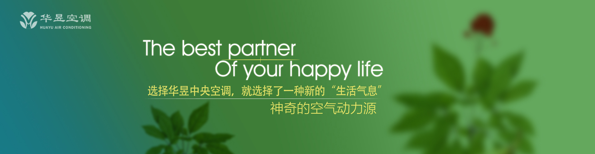 东风过耳网